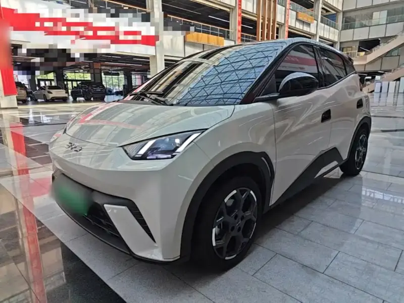 BYD Seagull