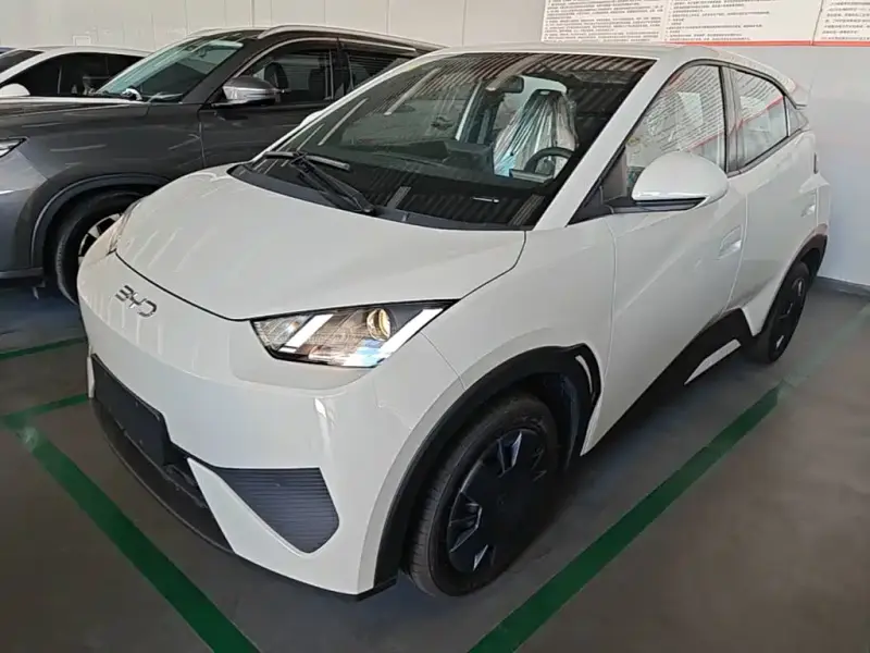 BYD Seagull