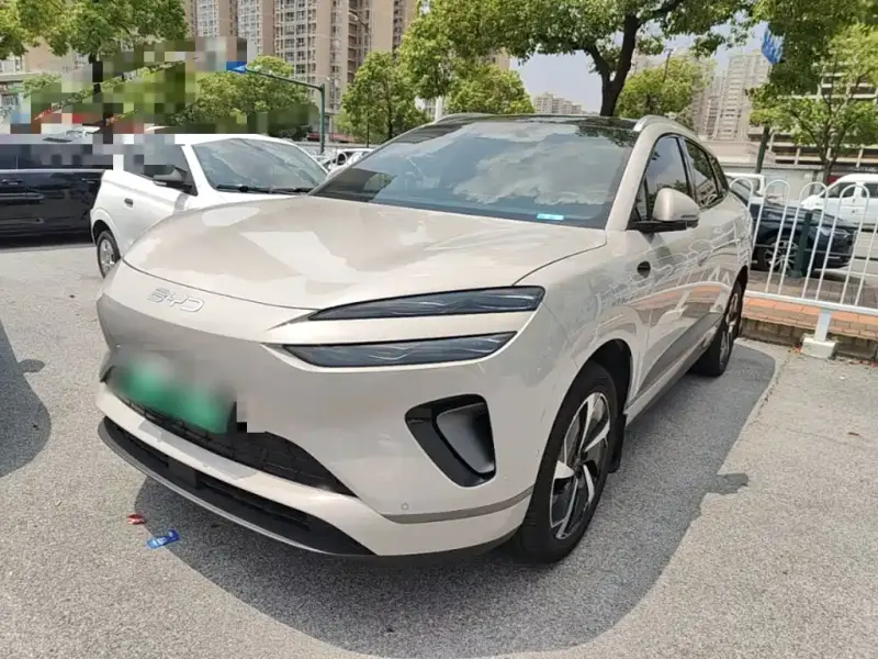 BYD Sea Lion 06