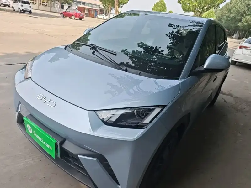 BYD Seagull