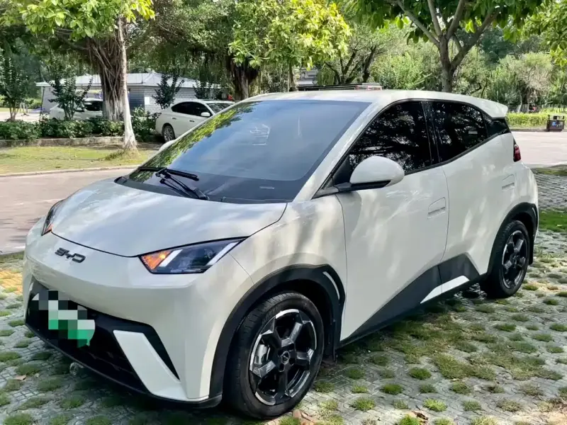 BYD Seagull