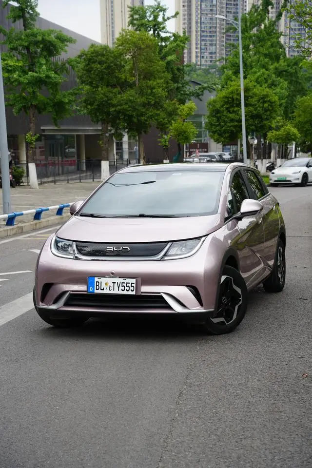 BYD Dolphin