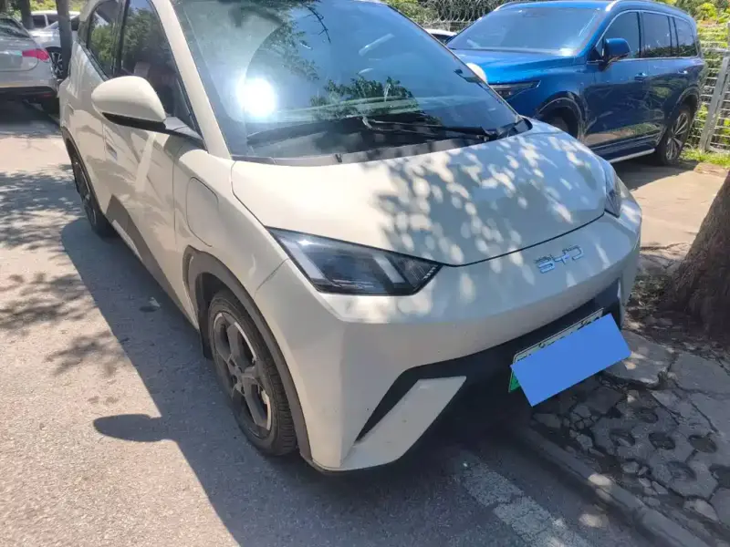 BYD Seagull