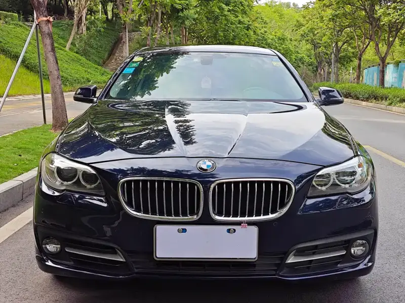 BMW 5 Series (Import)