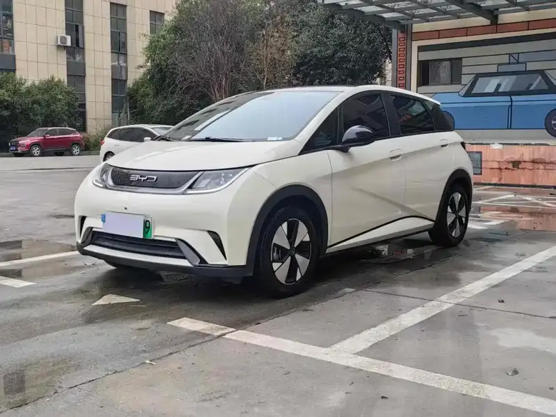 BYD Dolphin