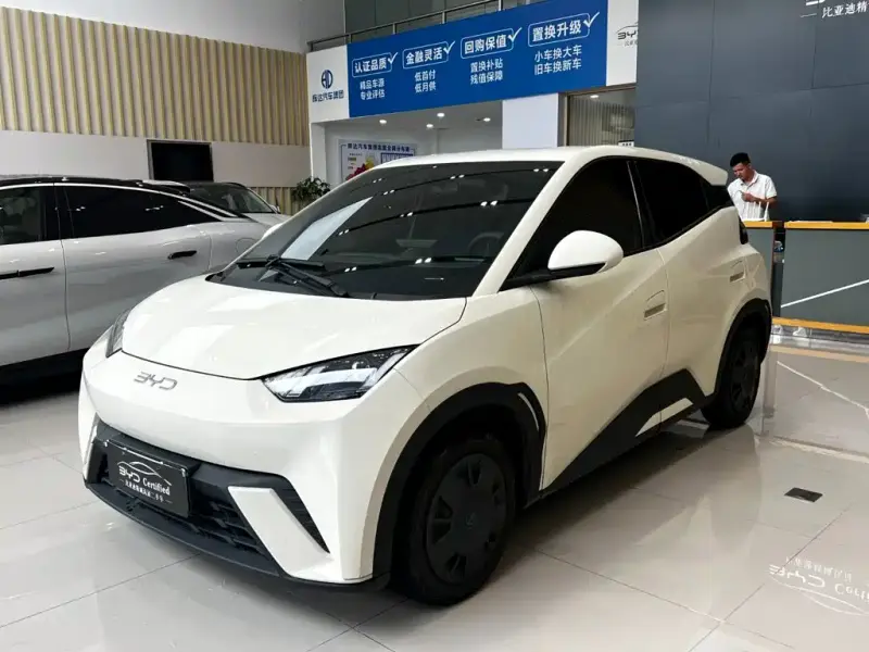 BYD Seagull