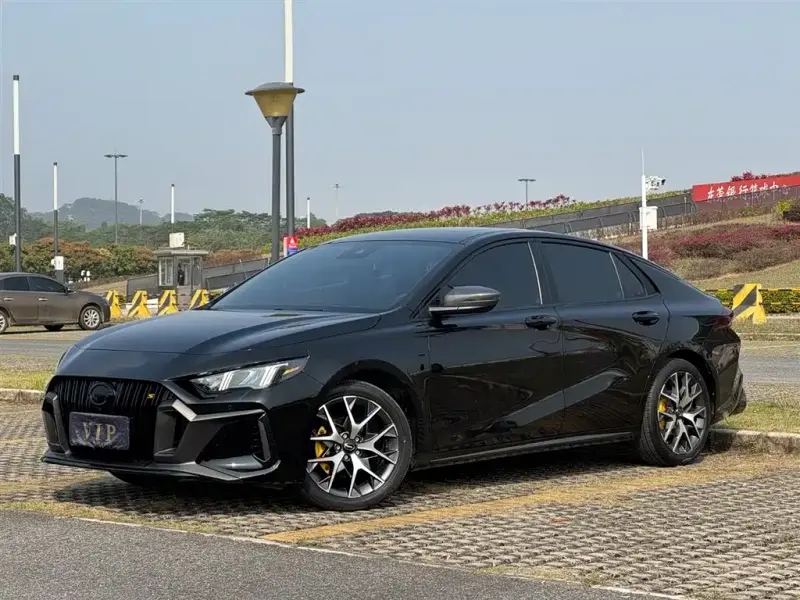GAC Motor Empow (Shadow Leopard)