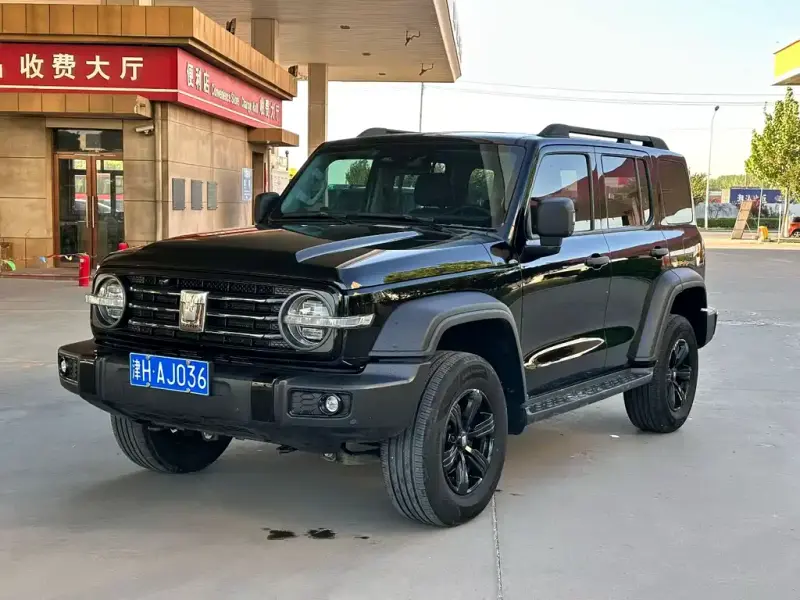 Tank 300