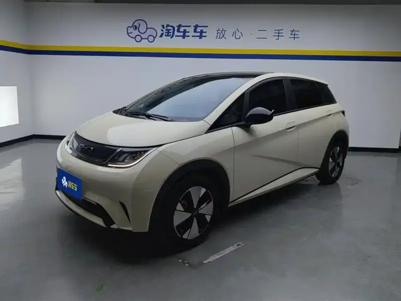 BYD Dolphin