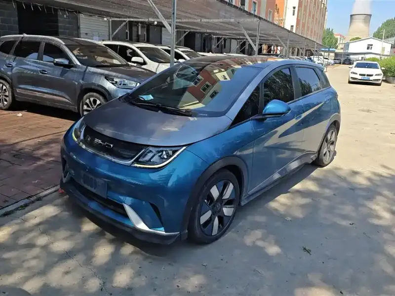 BYD Dolphin