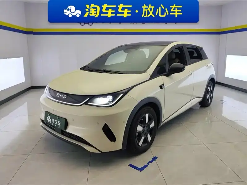 BYD Dolphin