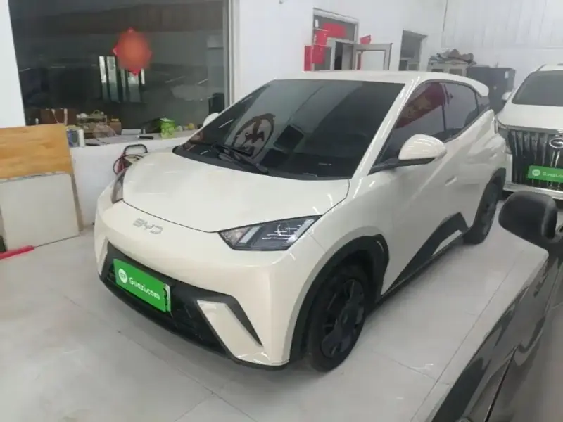 BYD Seagull