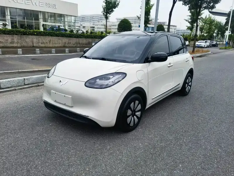 Wuling Bingo