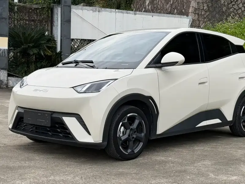 BYD Seagull