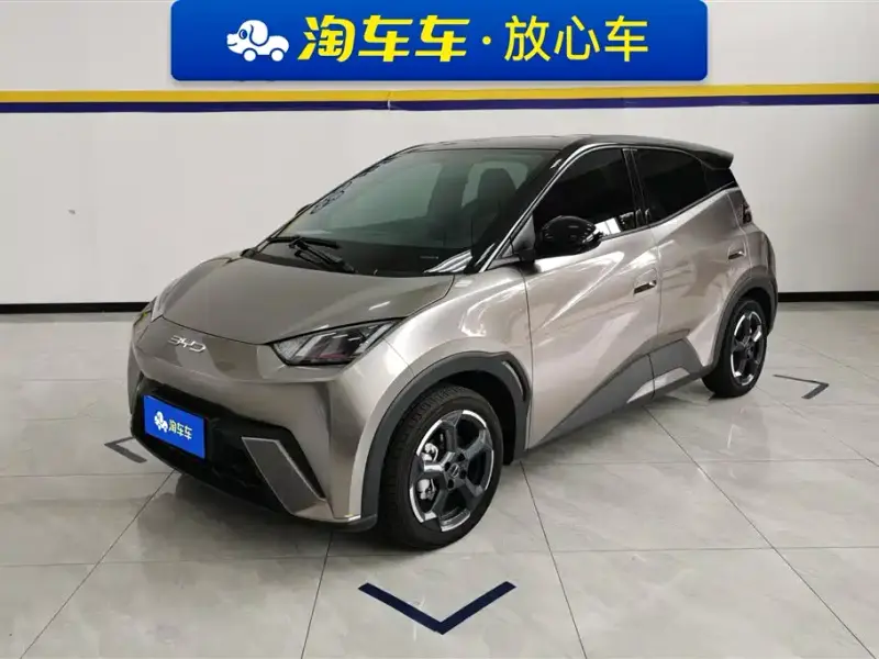 BYD Seagull