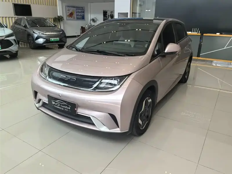 BYD Dolphin