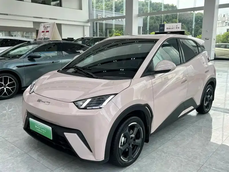 BYD Seagull