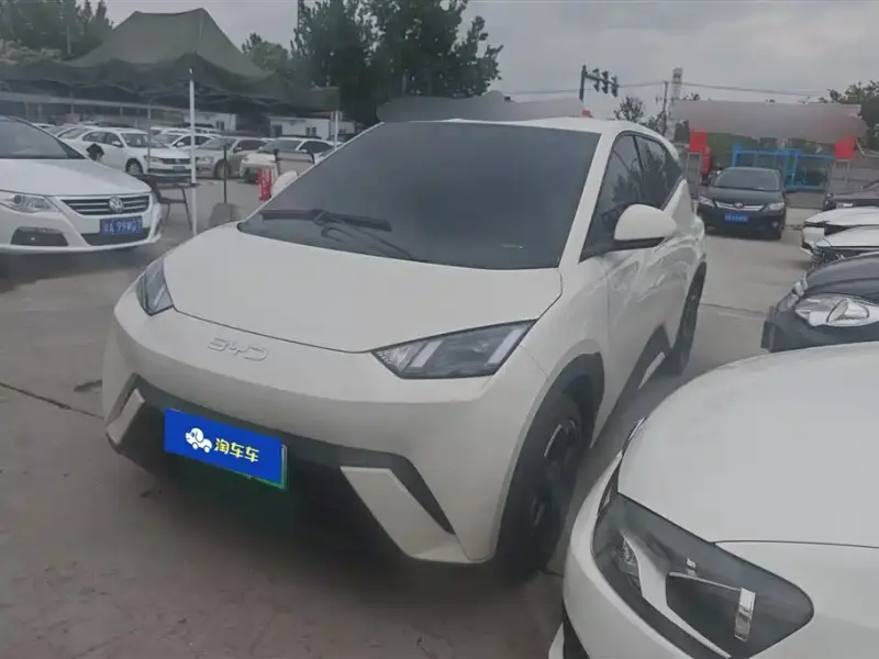 BYD Seagull
