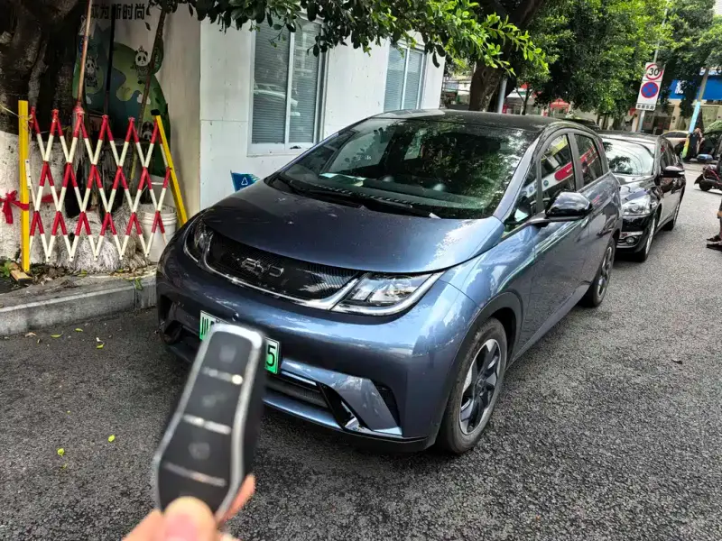 BYD Dolphin