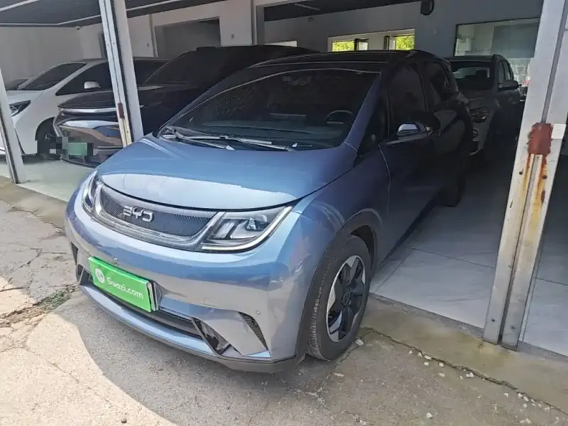 BYD Dolphin
