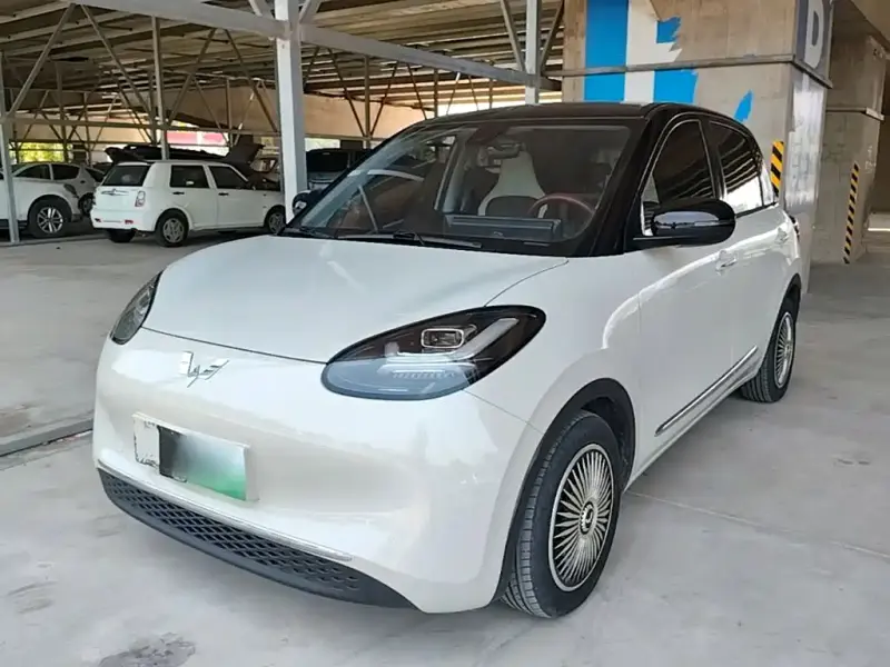 Wuling Bingo