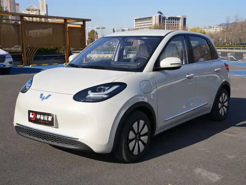 Wuling Bingo