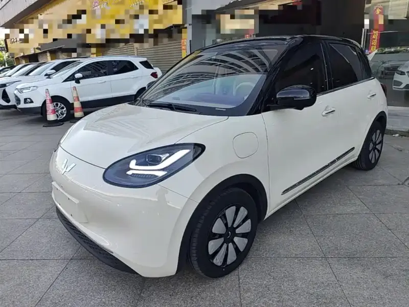 Wuling Bingo