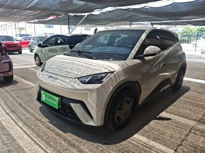 BYD Seagull