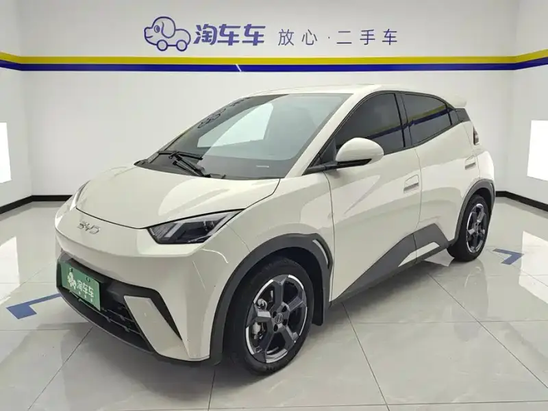BYD Seagull