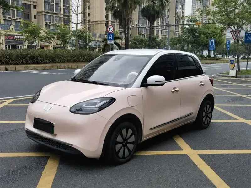 Wuling Bingo
