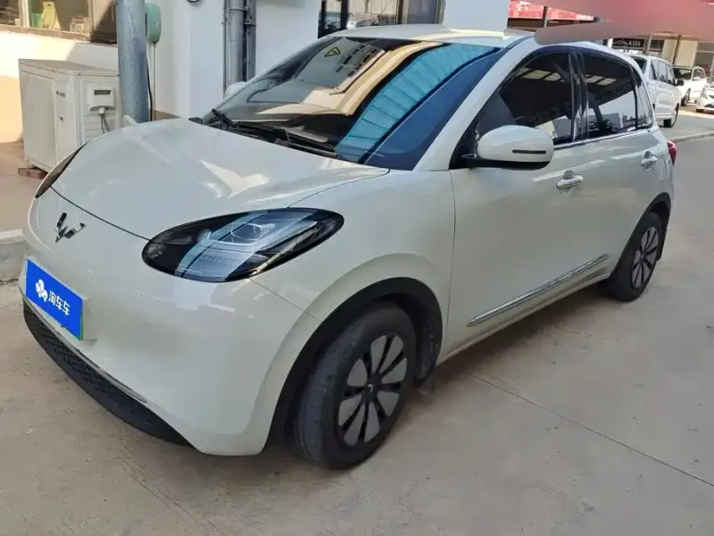 Wuling Bingo