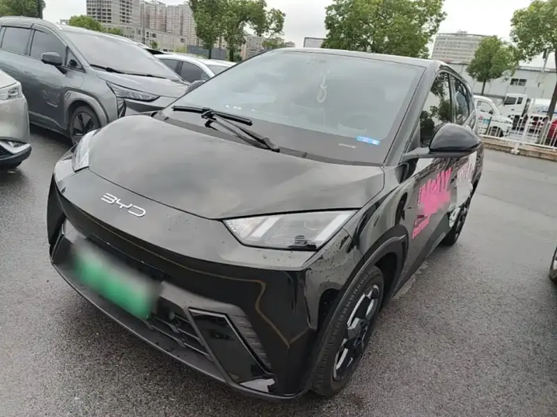 BYD Seagull