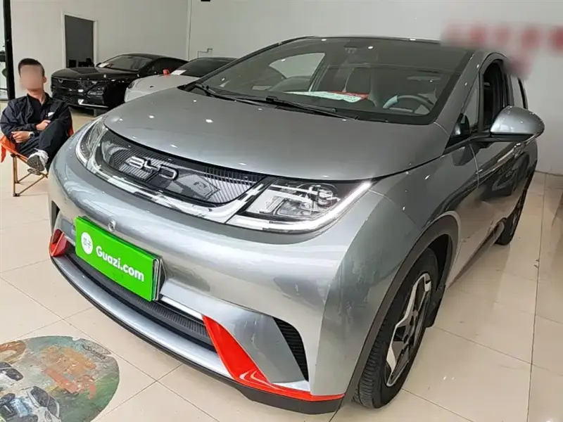 BYD Dolphin