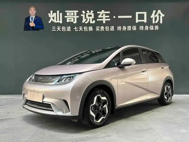 BYD Dolphin