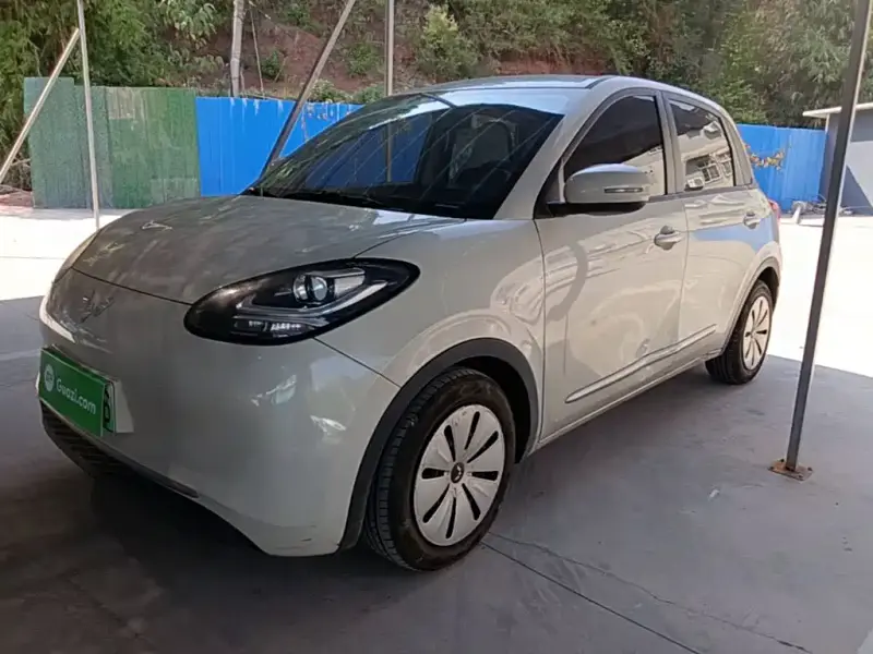 Wuling Bingo