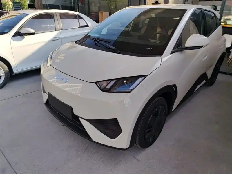 BYD Seagull