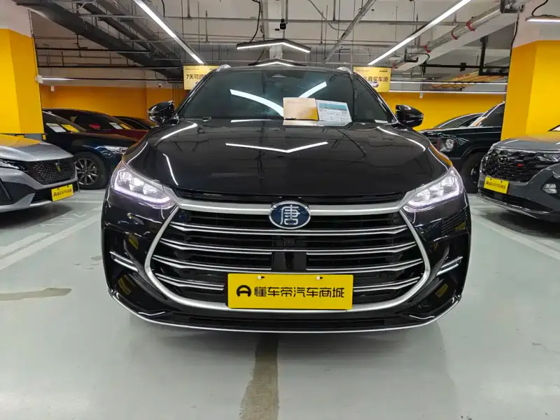 BYD Tang New Energy