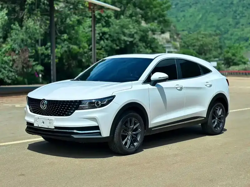 Fengguang ix5