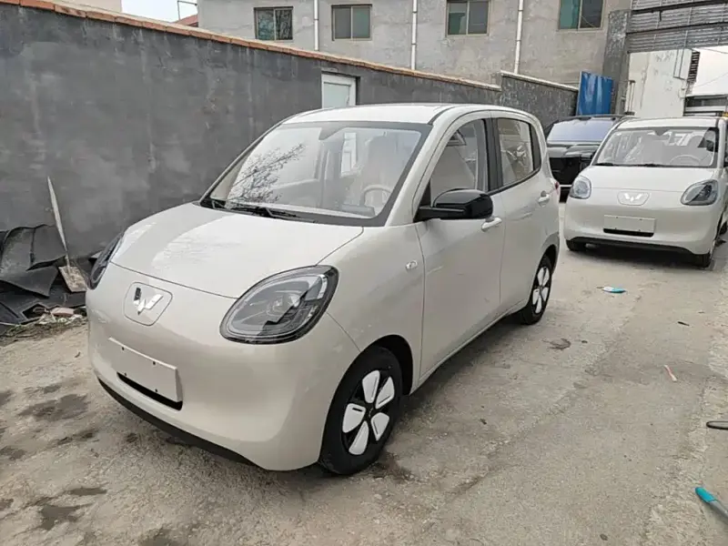 Wuling Hongguang Mini EV (MINIEV)