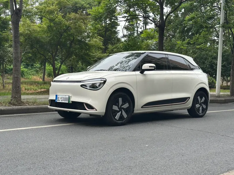 Dongfeng Yipai Nami 01