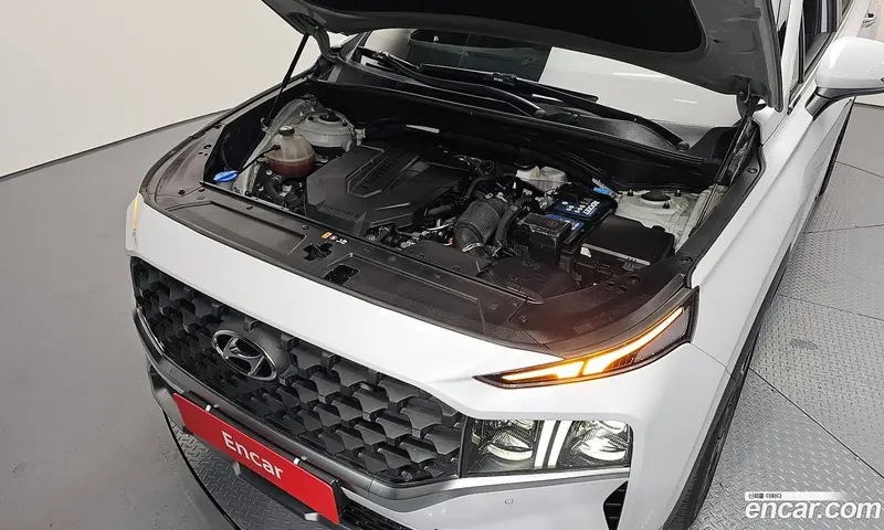 Hyundai Santa Fe (Santafe)