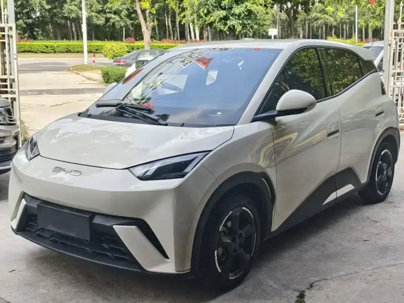 BYD Seagull