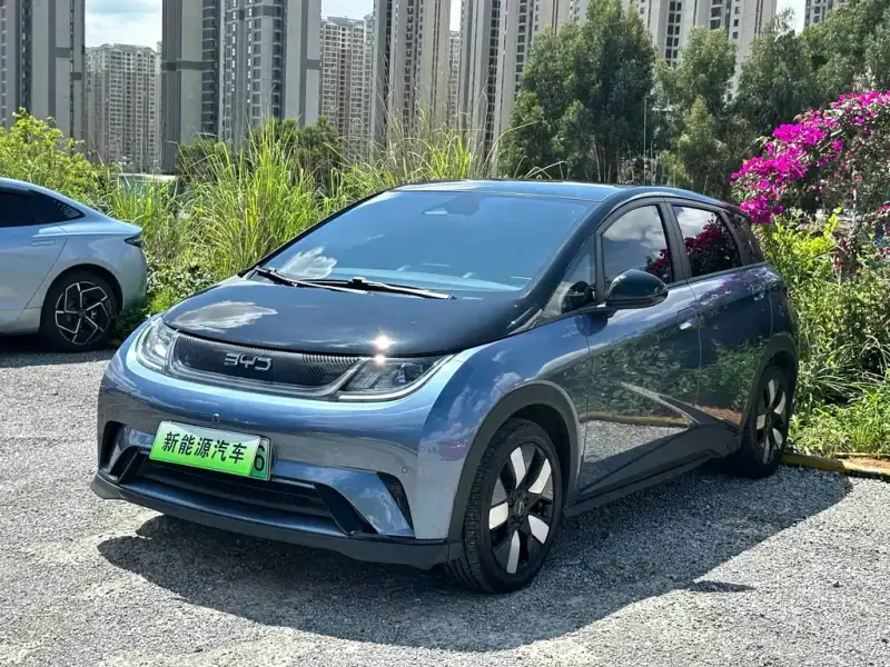 BYD Dolphin