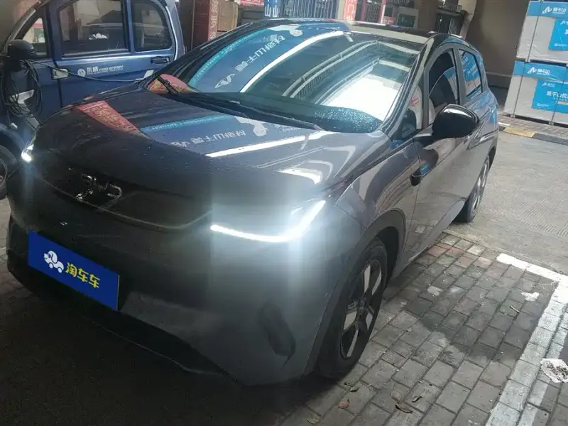 BYD Dolphin