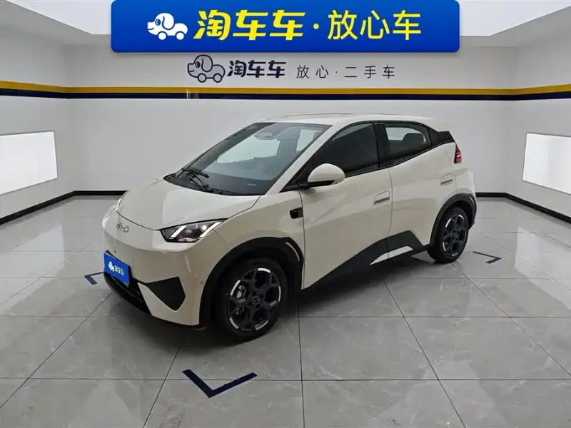 BYD Seagull