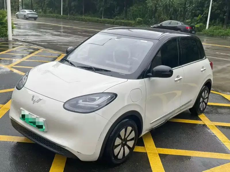 Wuling Bingo