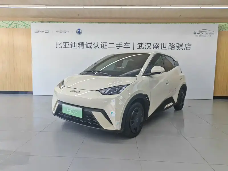BYD Seagull