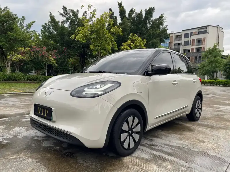 Wuling Bingo