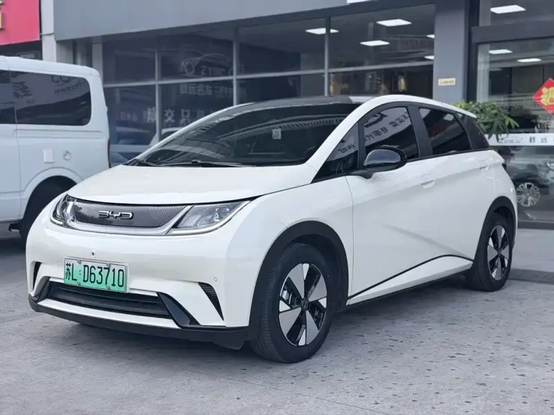BYD Dolphin