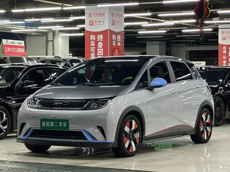 BYD Dolphin
